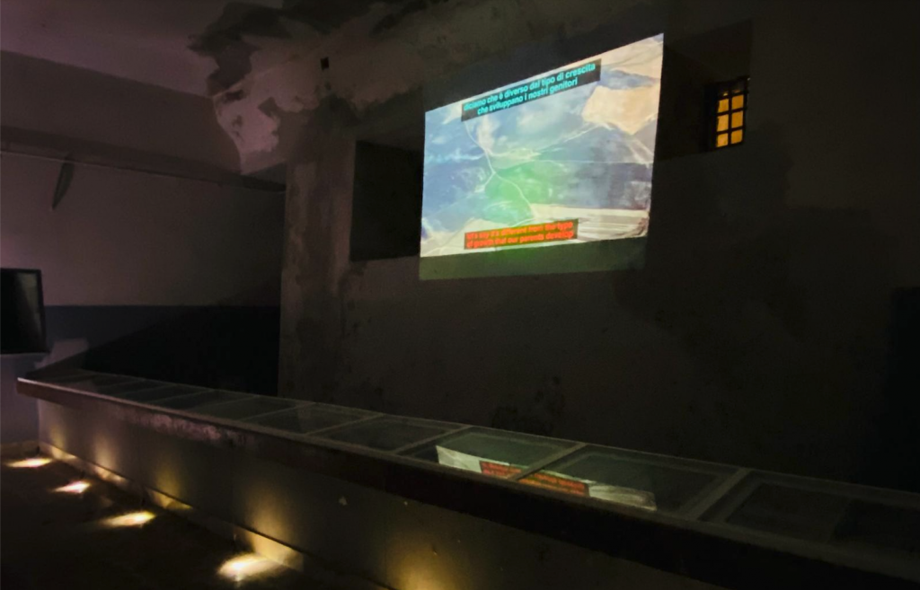 Mostra Marina Sagona video prints